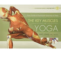 Key Muscles