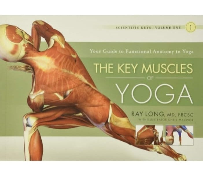 Key Muscles